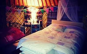 Galway Glamping Hotel Tuam 5* Ireland