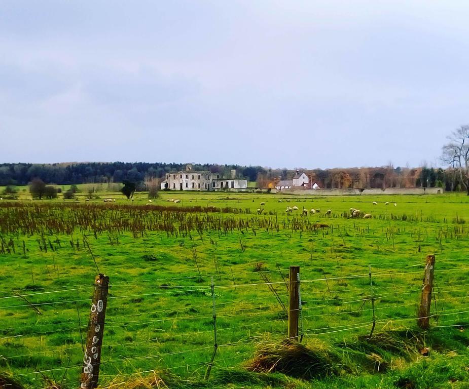 Galway Glamping Tuam Exterior photo